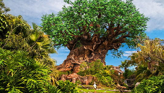 The Tree of Life serves as the centerpiece of Disney’s Animal Kingdom Park.