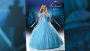 No Fairy Godmother Needed—There's a Real-Life Cinderella Prom Dress - D23