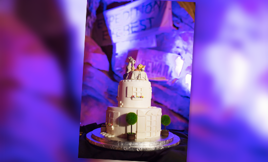 060215_DisneyWeddingCakes-feat-9