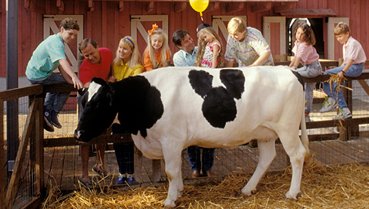 Grandma Duck’s Farm, and the famous tri-circle spotted cow, Minnie Moo, entertained guests from June 18, 1988 to March 11, 1996. 