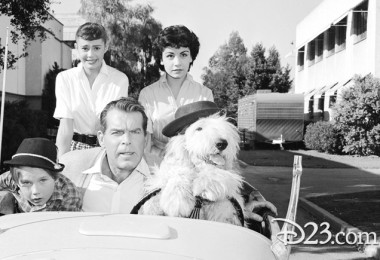 Scene from Disney film Shaggy Dog