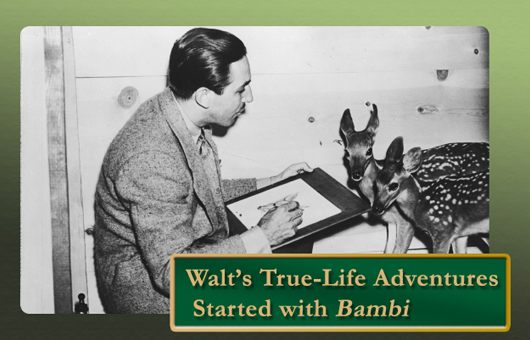 10 Facts From Walt Disney's Bambi - D23