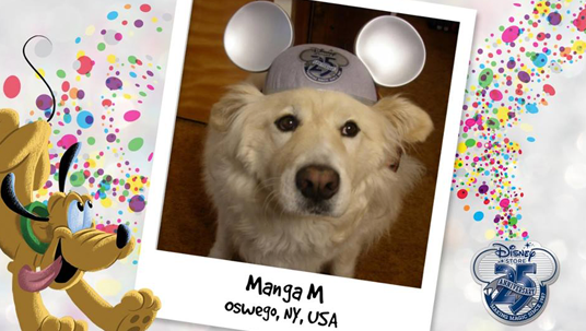 D23 Member Dog Manga