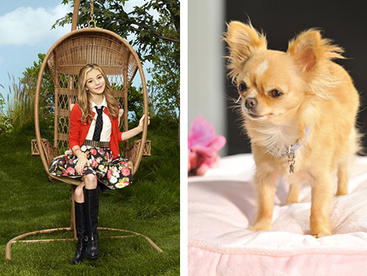 G Hannelius loves Chloe from Beverly Hills Chihuahua