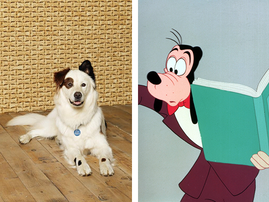 Stephen Full, the voice of Stan, says he is most like Goofy