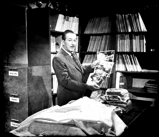 Walt Disney visited the morgue in the September 25, 1957 Disneyland television series episode "Adventure in Wildwood Heart." 