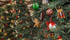 The Disneyland Christmas Tree