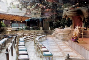 photo of Aladdin's Oasis