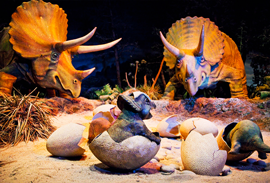 The Birds, Beasts, and Beauty of Disney's Audio-Animatronics Characters -  D23