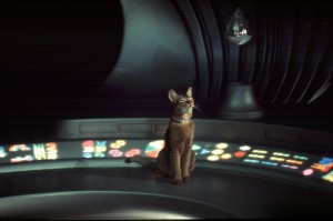 production photo from movie The Cat from Outer Space (film) featuring a cat seated on a spaceship control panel