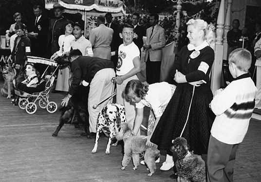 Disneyland First Annual Kids' Amateur Dog Show