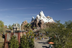 photo of Expedition Everest attraction in Disney's Animal Kingdom