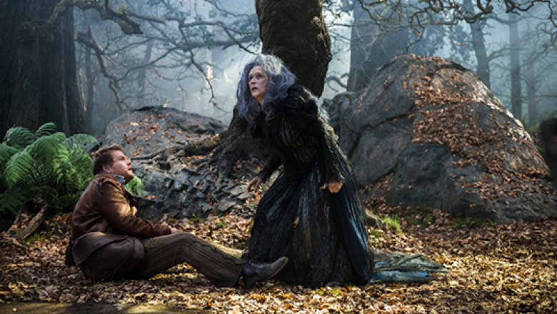 Meryl Streep as the Witch, Into the Woods