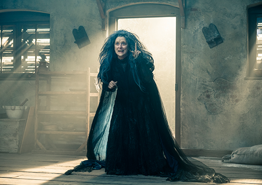 Meryl Streep Into the Woods