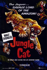 one-sheet movie poster for Jungle Cat