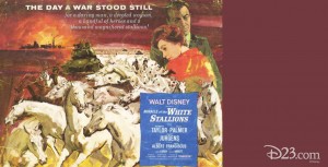 Poster of Miracle of the White Stallions