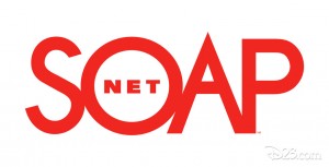 Soapnet Logo