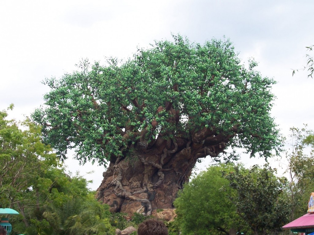 tree-of-life - D23