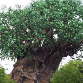 Tree of Life Located in Safari Village at the hub of Disney’s Animal Kingdom at Walt Disney World