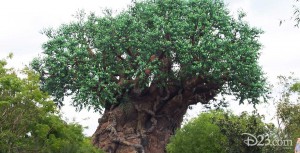 Tree of Life Located in Safari Village at the hub of Disney’s Animal Kingdom at Walt Disney World