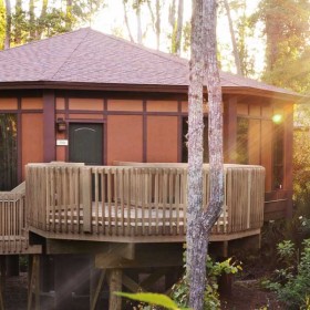 Treehouse Villas Accommodations at Lake Buena Vista