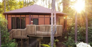 Treehouse Villas Accommodations at Lake Buena Vista