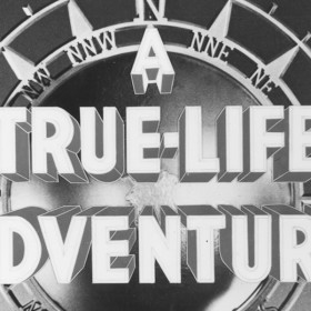 Photo from Disney's True-Life Adventures Series of 13 nature films