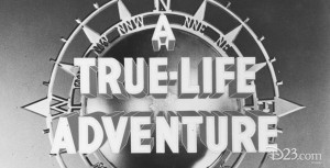 Photo from Disney's True-Life Adventures Series of 13 nature films