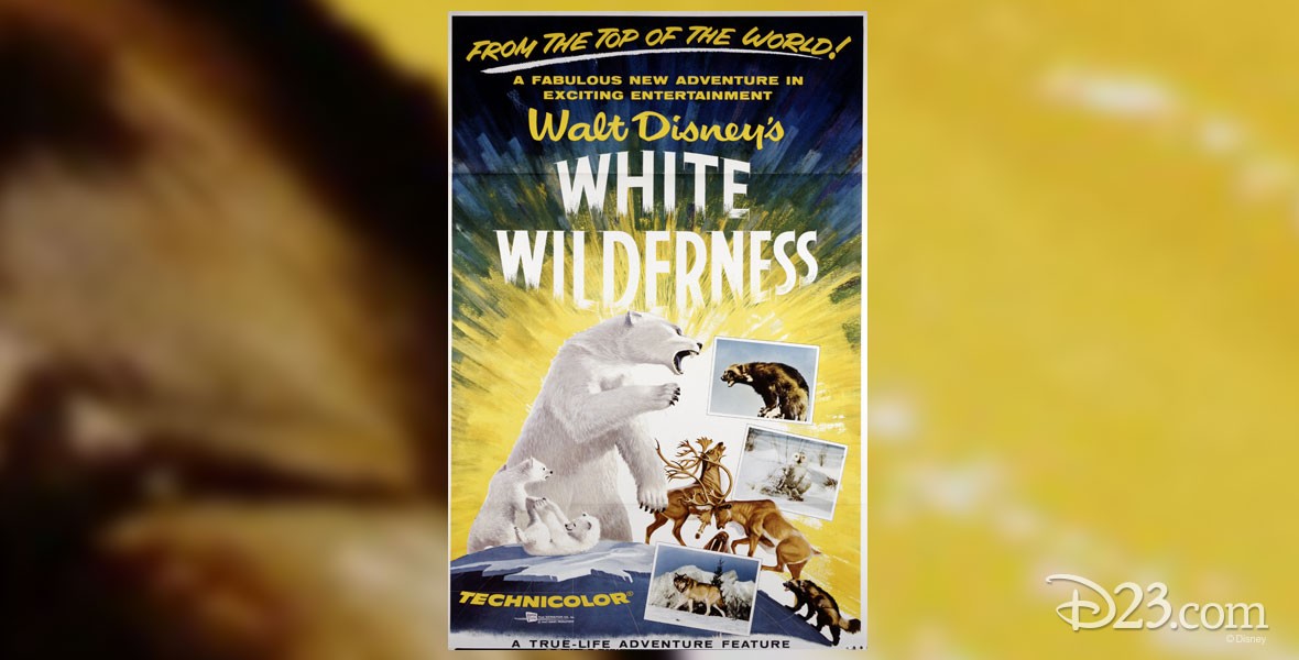 Disney Feature White Wilderness True-Life Adventure