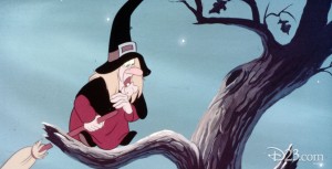 Trick oTreat's Witch Hazel on a tree