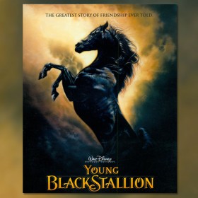 Poster for Disney Film Young Black Stallion