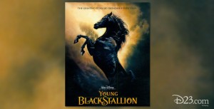 Poster for Disney Film Young Black Stallion