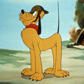 Pluto standing at attention