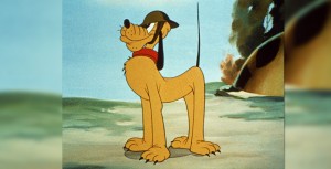 Pluto standing at attention