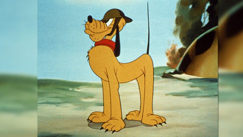 Pluto standing at attention