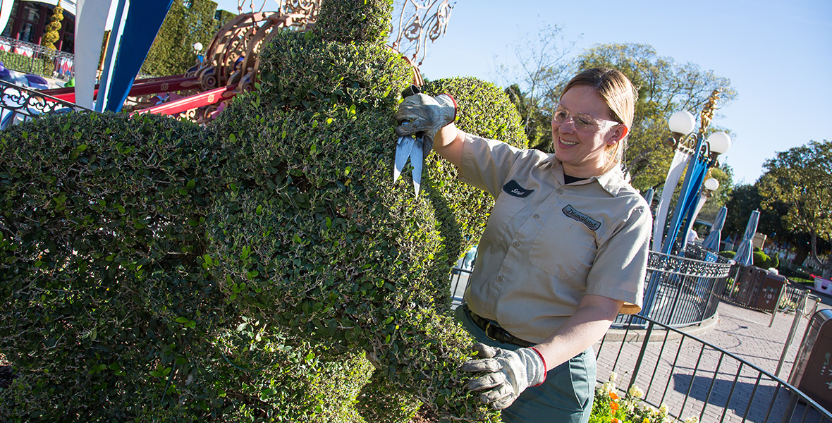 Whistle While They Work—Spotlight on Dream Disney Jobs - D23