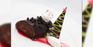 Double chocolate yule log