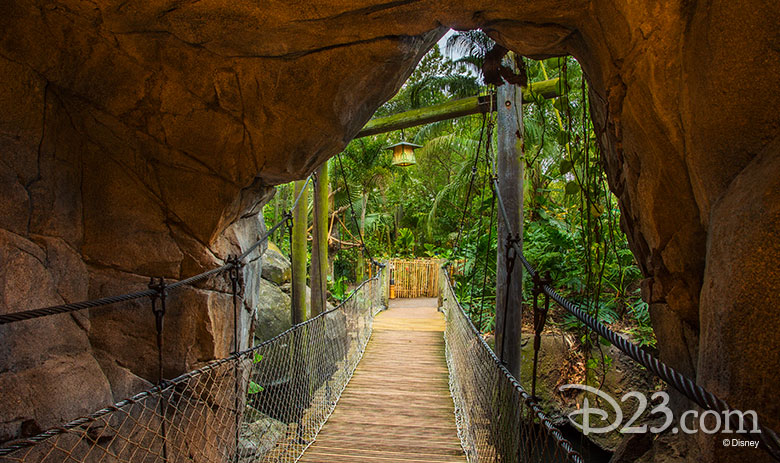 Magical Miles—They're A Walk in the (Disney) Park! - D23