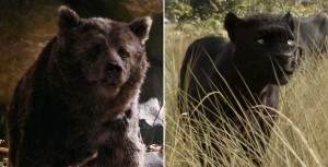 Baloo and Bagheera