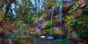 The Oasis at Disney's Animal Kingdom