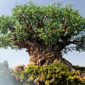 Tree of Life