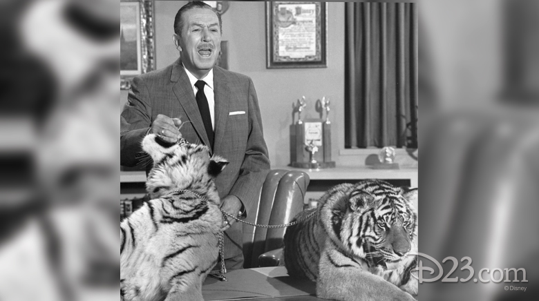 Walt Disney with tigers