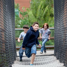 Redwood Creek Challenge Trail