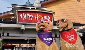 Happy Hound