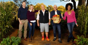 The Chew