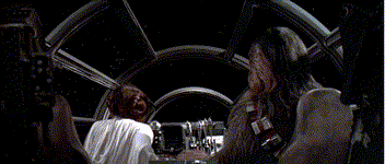 Leia and Chewbacc Star Wars animated gif
