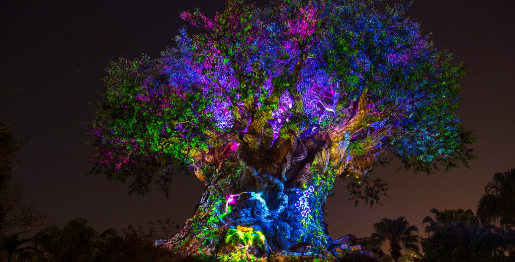 1180-x-600-060116_disney-animal-kingdom-at-night - D23
