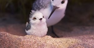 Piper