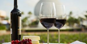 Epcot Food and Wine Festival