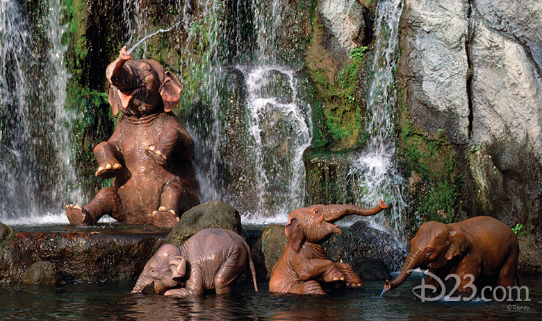 780x463-jungle-cruise